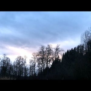 Meet your Posher, Ellie